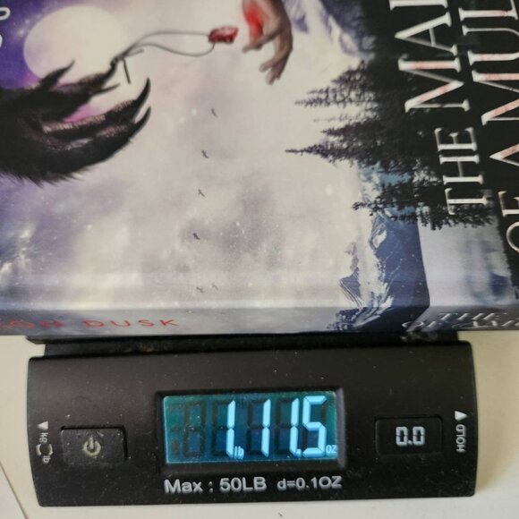 The Mark Of Amulii By Aeron Dusk - SIGNED First Edition, Hardcover - Picture 9 of 9